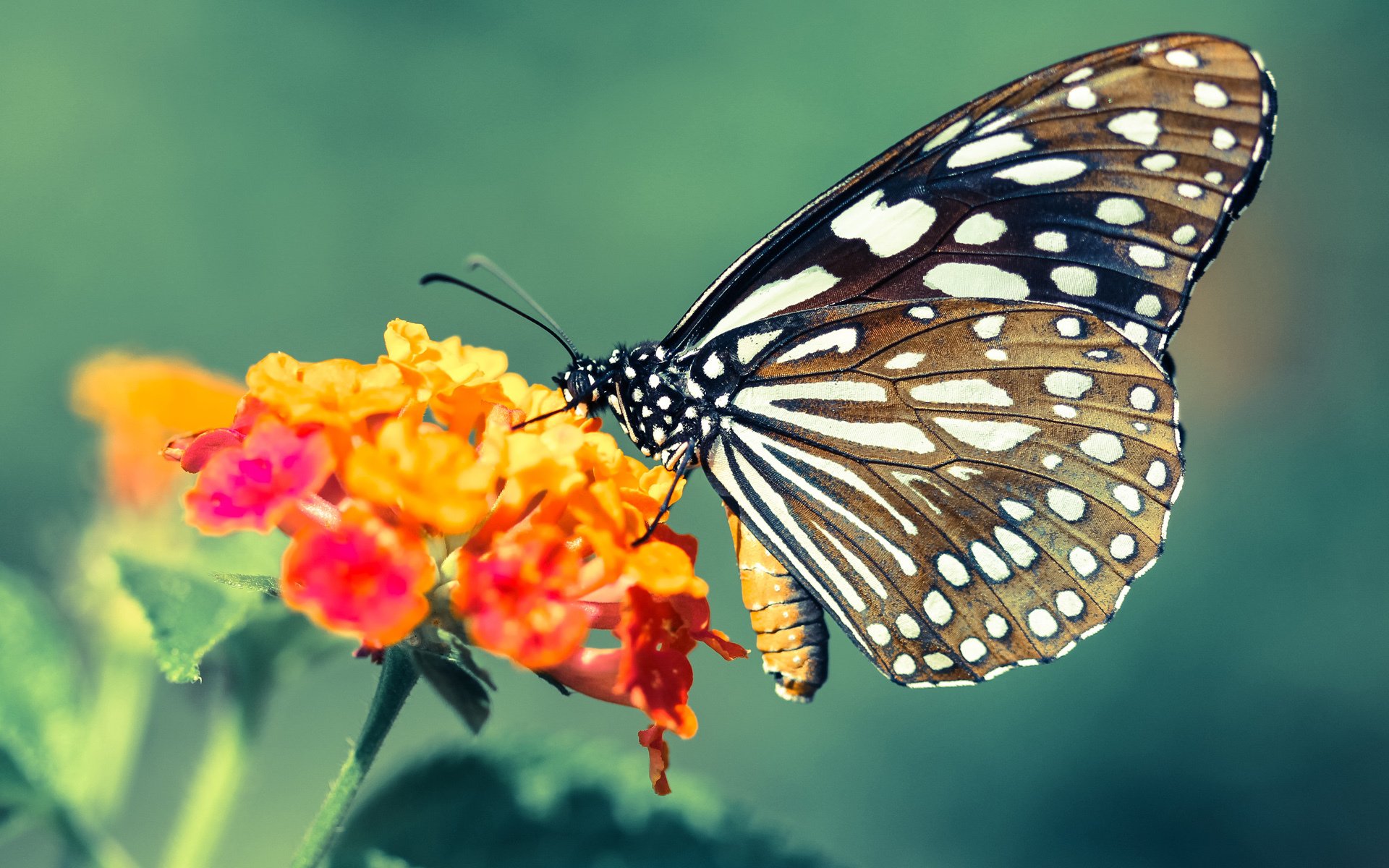 中国男篮重视情境模拟提升实战能力，中国男篮训练视频录像