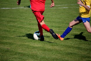 开云体育app在线-国家体育场馆运营管理论坛探讨智能化方向，国家体育总局体育场馆运营管理办法