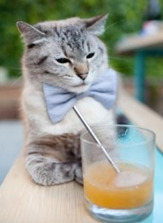 开云体育app在线-季前训练营设置对赛季开局表现的关键驱动作用，季前赛怎么玩