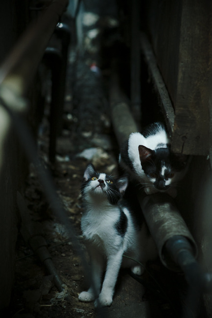 拜仁计划扩展亚洲市场与全球影响力,拜仁计划扩展亚洲市场与全球影响力的关系