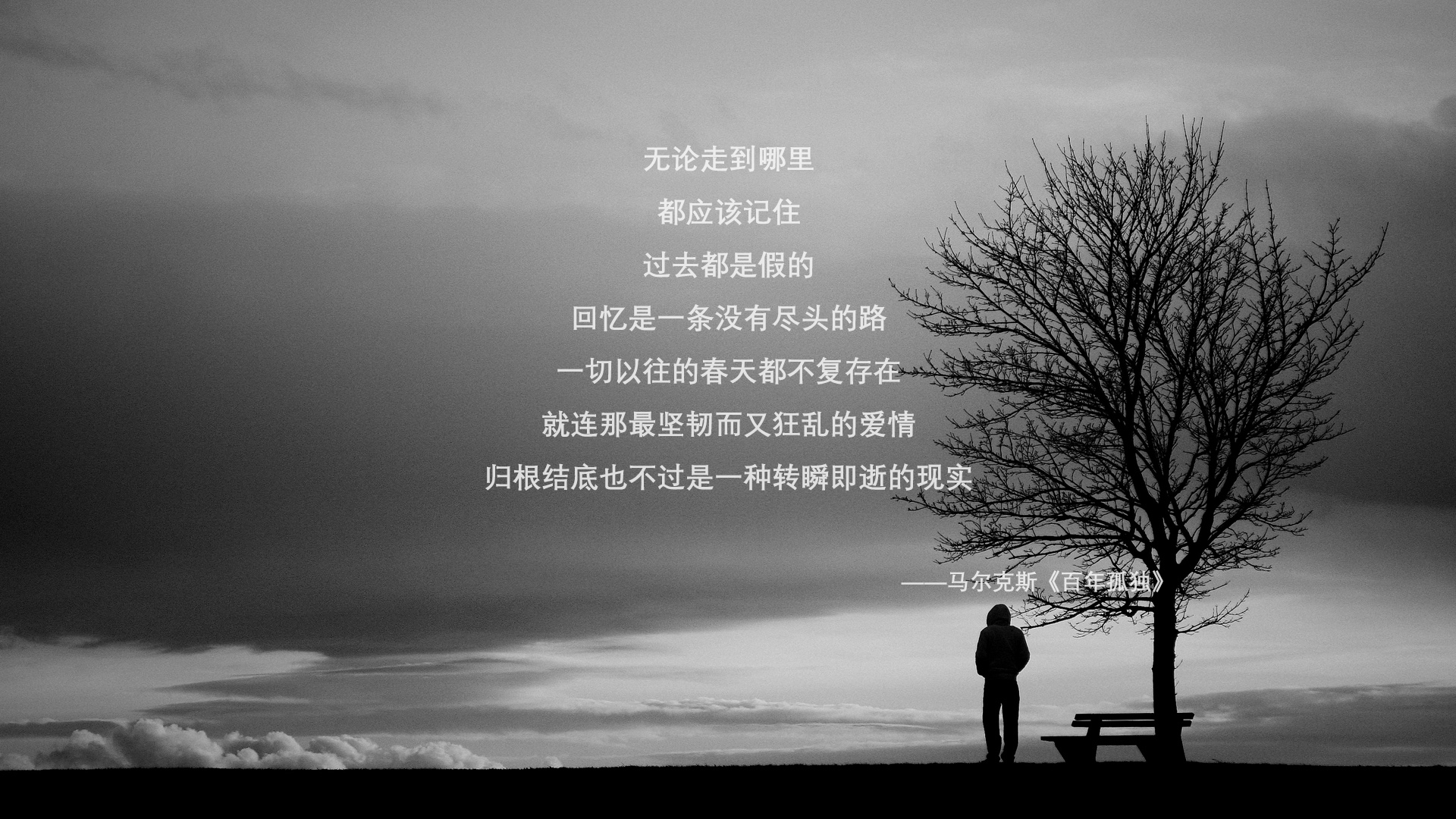 开云体育app下载-“南非羚羊队备战新一季，诺克·达维德·彼得森成关键”