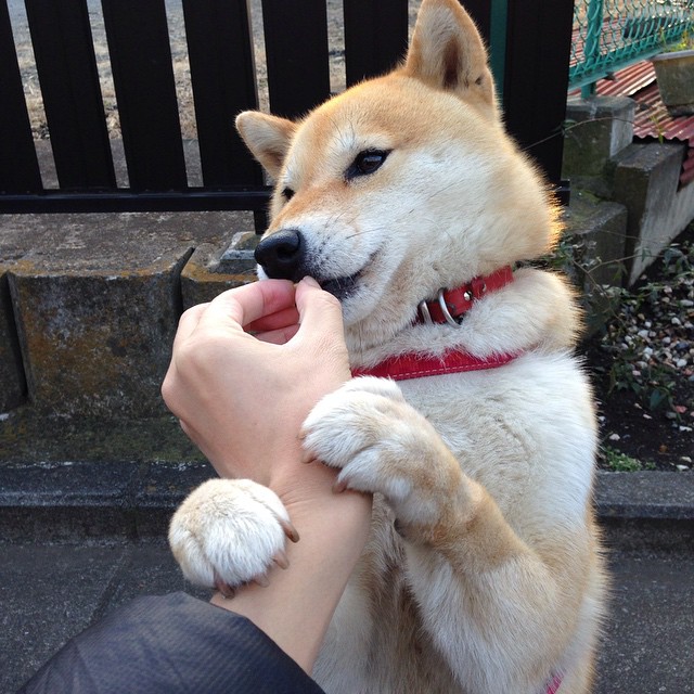 开云体育平台-世界杯激情不断：精彩瞬间点燃球迷！，世界杯经典视频