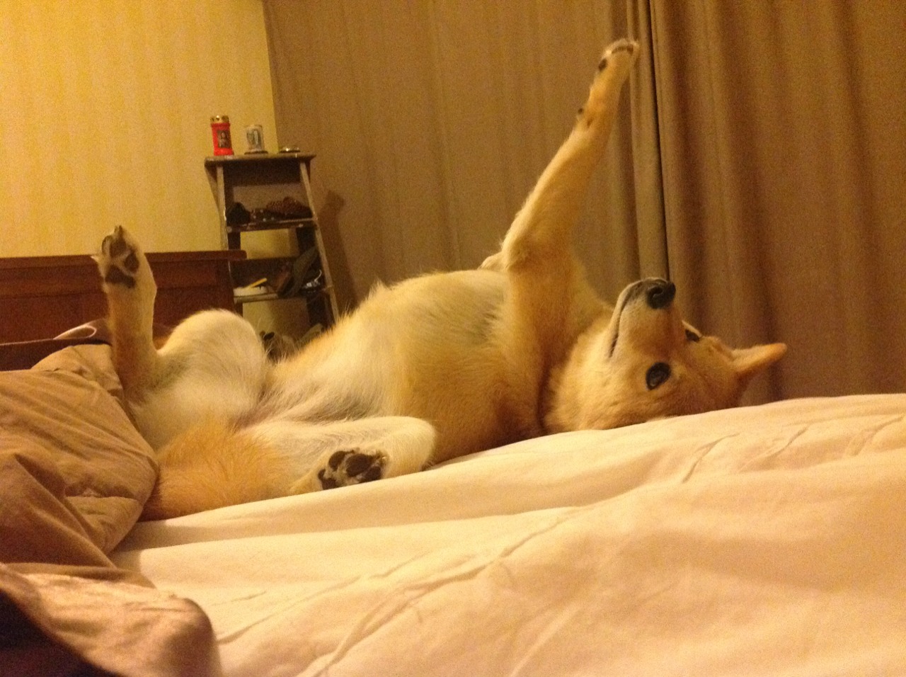 开云官方网-世界篮联公布反兴奋剂教育计划，重申清洁竞争原则，世界反兴奋剂机构人员组成