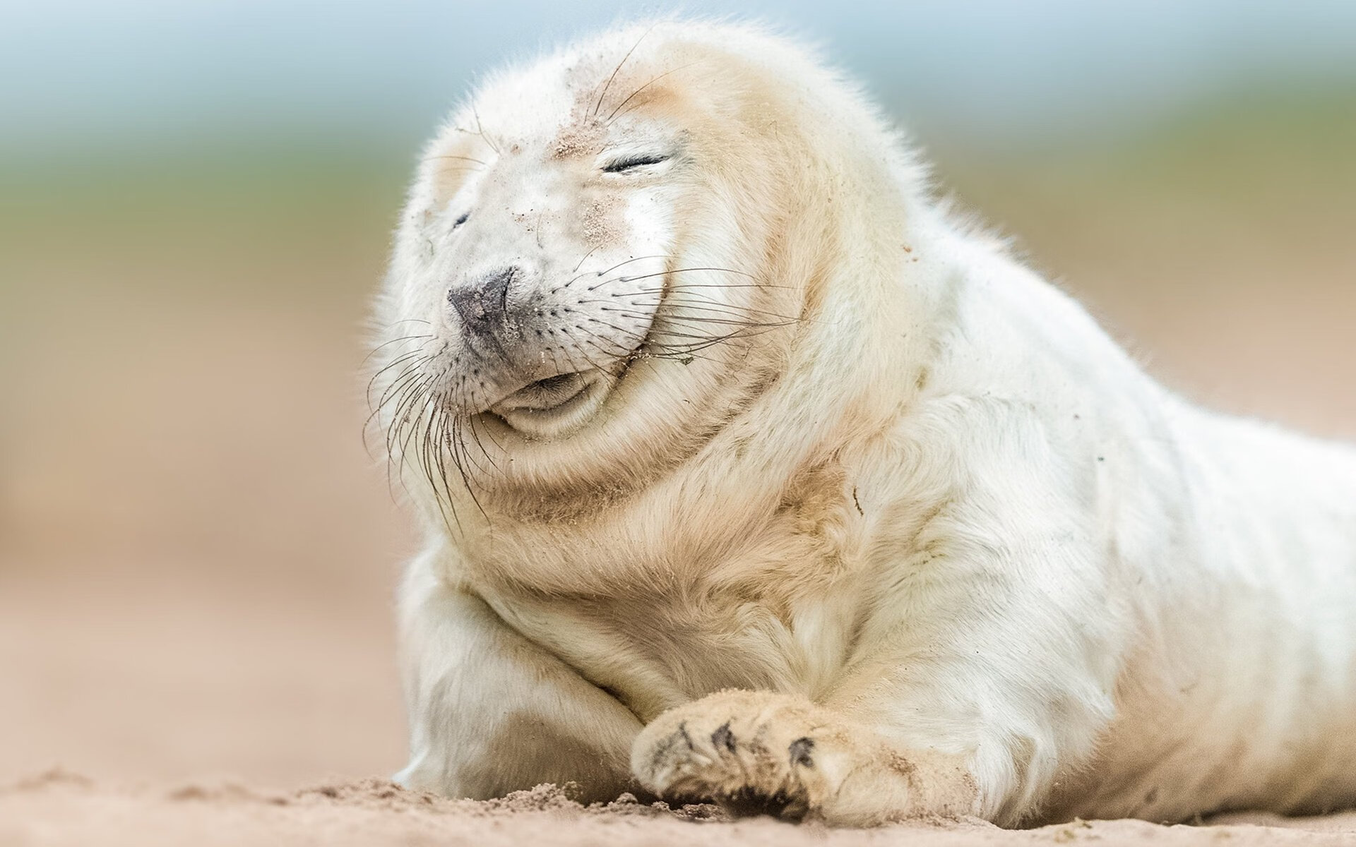 中国足球国家队调整训练内容应对高强度对抗，中国足球队训练视频