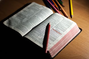 开云体育登录-体育教师能力认证制度在试点城市启动，体育教师资格证认定条件