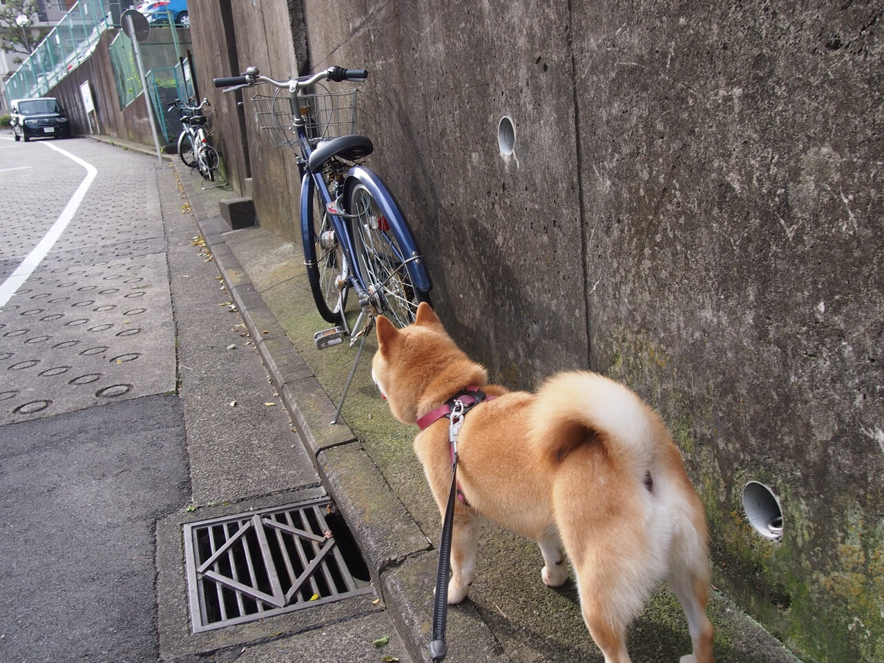 哈登半场助攻上双快船组织效率提升,哈登vs快船集锦