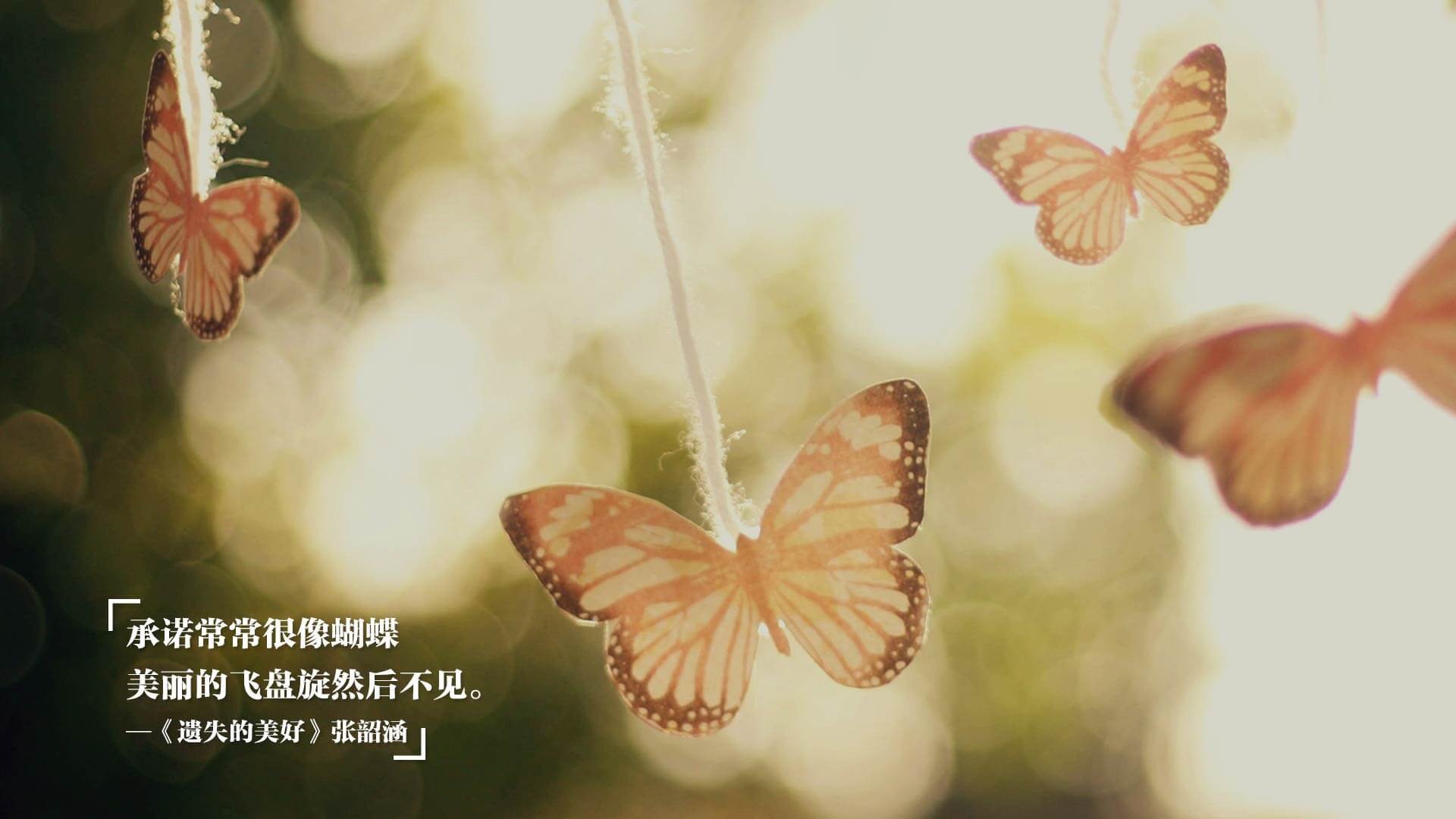 奥卡拉汉决赛中段加速领跑赛道，奥卡拉在哪里