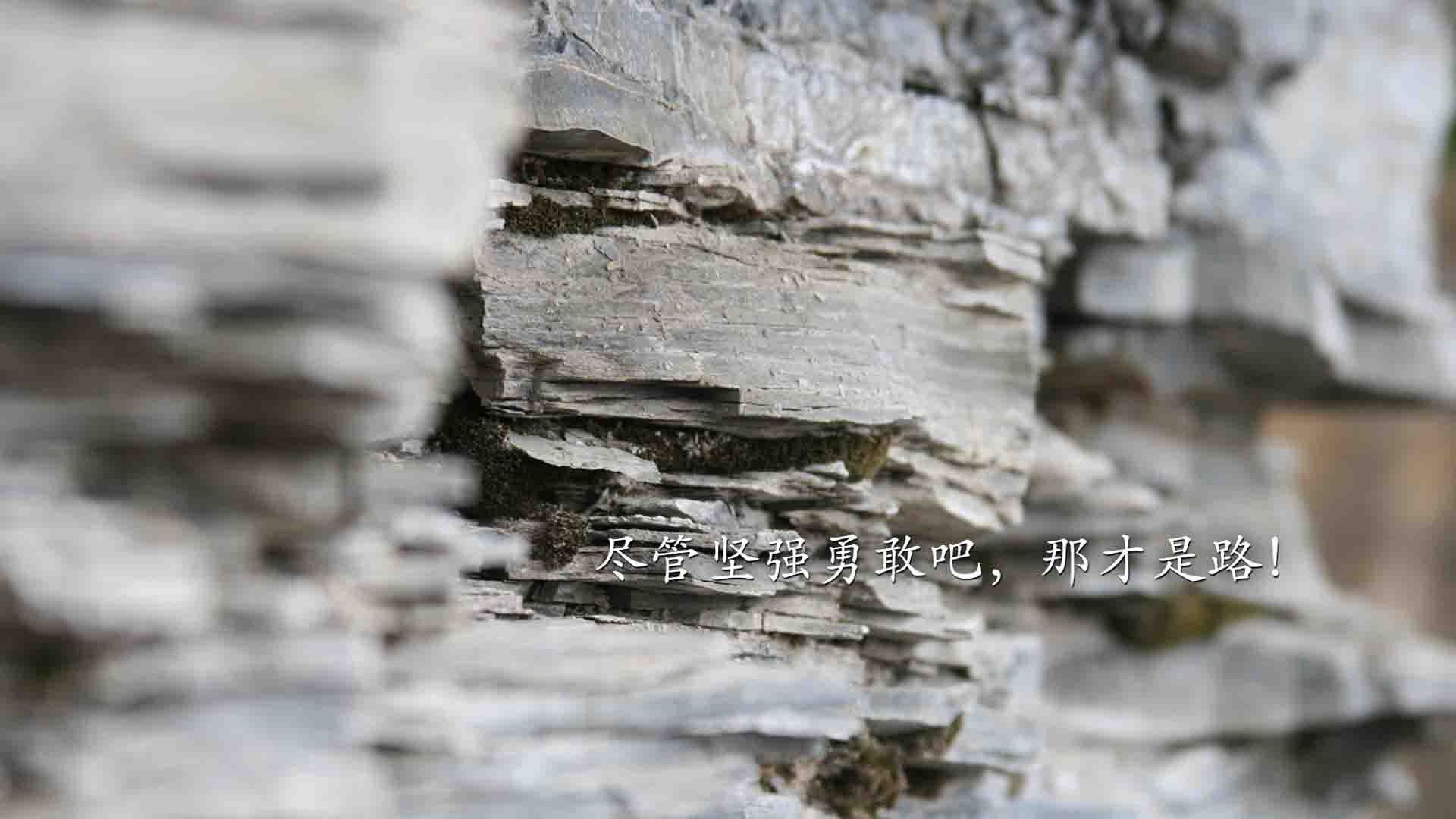 球迷组织自发策划庆典营造主场良好氛围，球迷活动策划