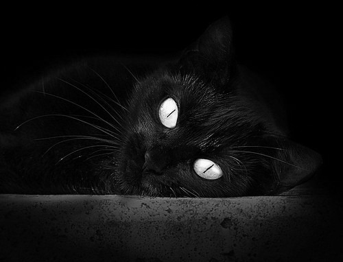 开云体育在线下载-艾比·德尔福：坚如磐石的防守能力，成为南非队的后防屏障，《艾比·里德尔》